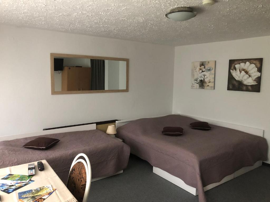 Penzion Tereza room 5